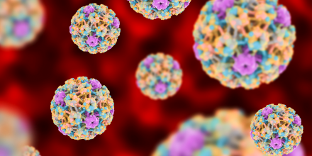 Human papillomaviruses on colorful background, 3d illustration