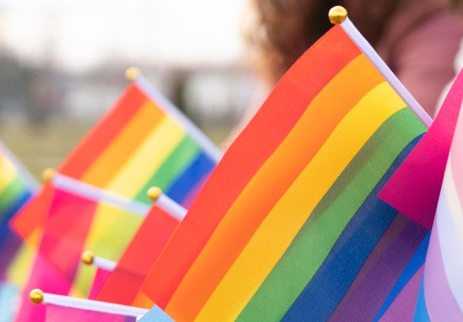 LGBTIQ flags 