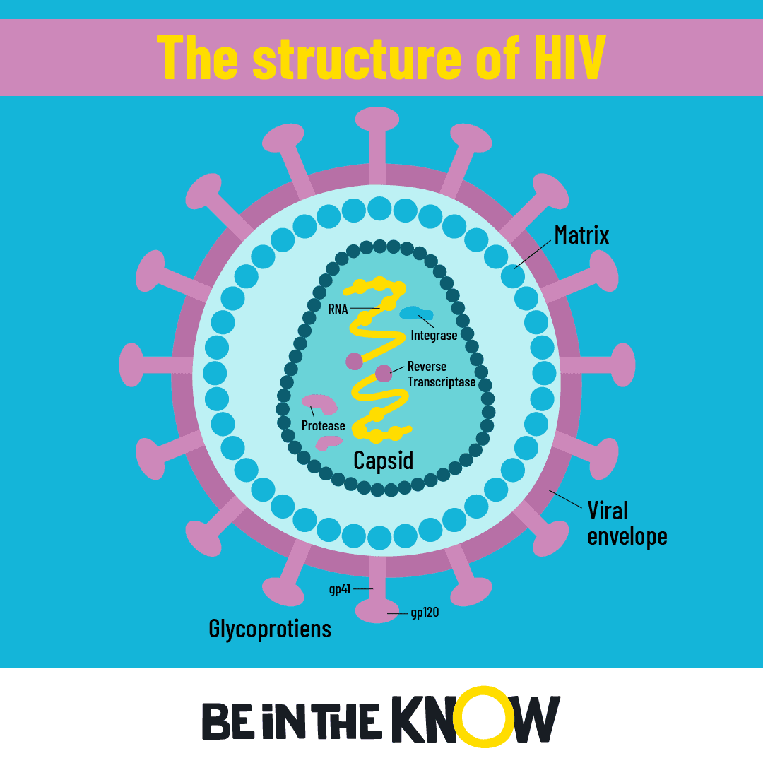 What are HIV and AIDS? | Be in the KNOW